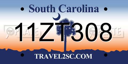 11ZT308 South Carolina License Plate