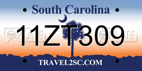 11ZT309 South Carolina License Plate