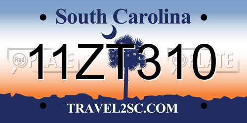 11ZT310 South Carolina License Plate