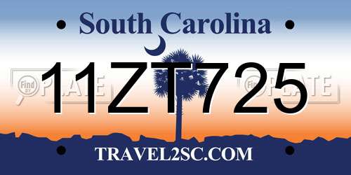 11ZT725 South Carolina License Plate