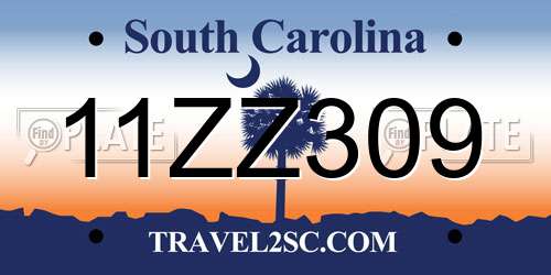 11ZZ309 South Carolina License Plate