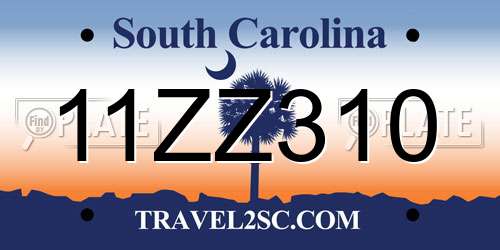 11ZZ310 South Carolina License Plate
