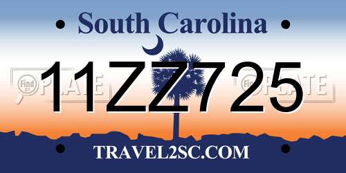 11ZZ725 South Carolina License Plate