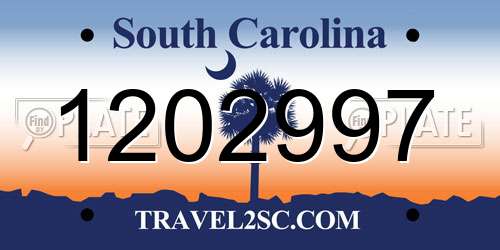 1202997 South Carolina License Plate