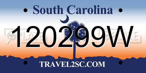 120299W South Carolina License Plate