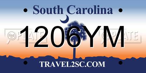 1206YM South Carolina License Plate