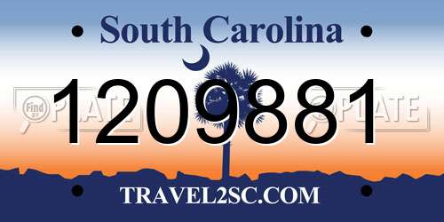1209881 South Carolina License Plate