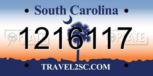 1216117 South Carolina License Plate