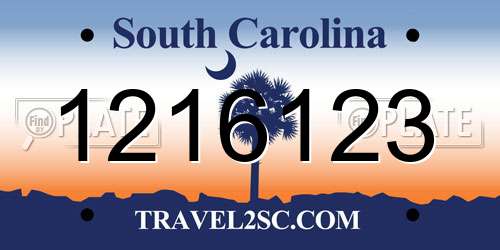 1216123 South Carolina License Plate