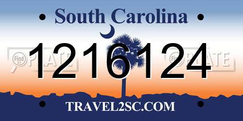 1216124 South Carolina License Plate