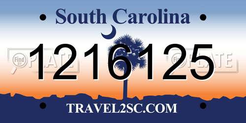 1216125 South Carolina License Plate