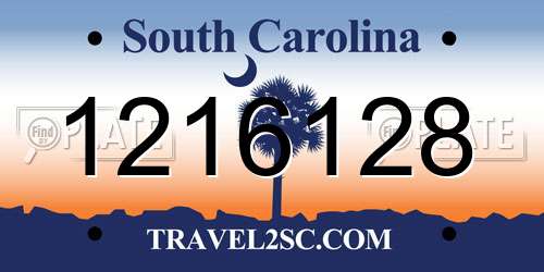 1216128 South Carolina License Plate