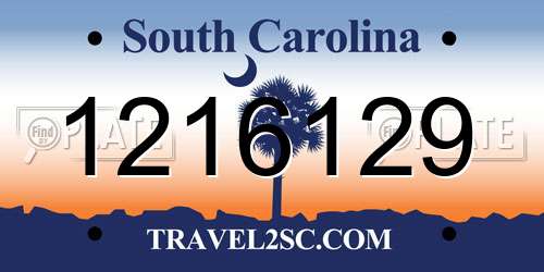 1216129 South Carolina License Plate