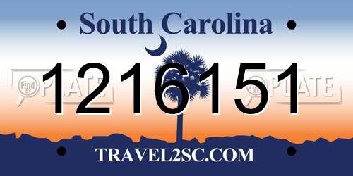 1216151 South Carolina License Plate