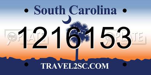 1216153 South Carolina License Plate