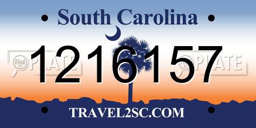 1216157 South Carolina License Plate