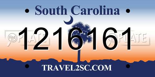 1216161 South Carolina License Plate