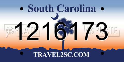 1216173 South Carolina License Plate
