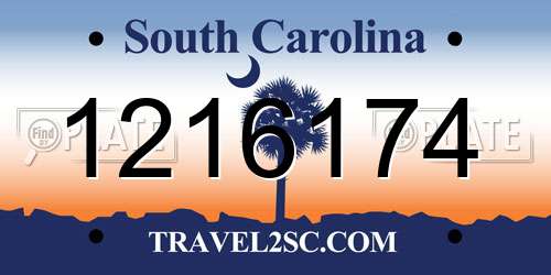 1216174 South Carolina License Plate