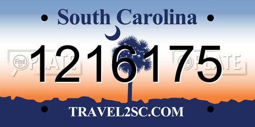 1216175 South Carolina License Plate