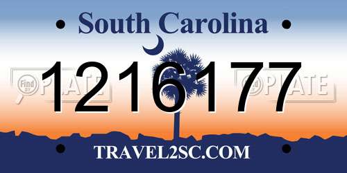 1216177 South Carolina License Plate