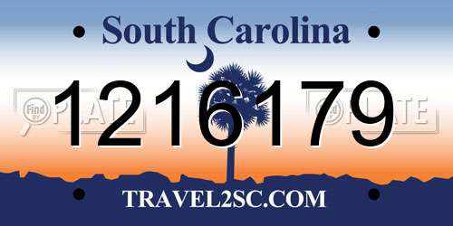 1216179 South Carolina License Plate