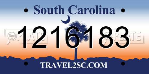 1216183 South Carolina License Plate