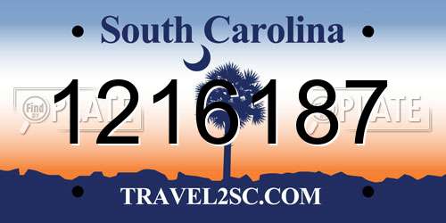 1216187 South Carolina License Plate