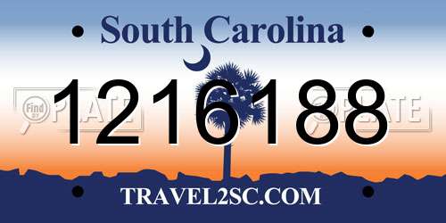 1216188 South Carolina License Plate