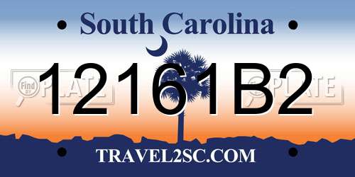 12161B2 South Carolina License Plate