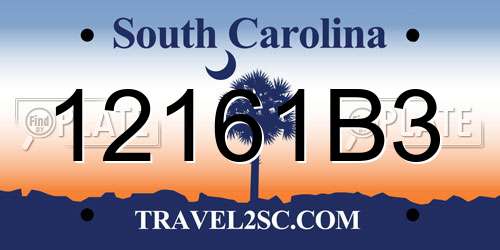 12161B3 South Carolina License Plate