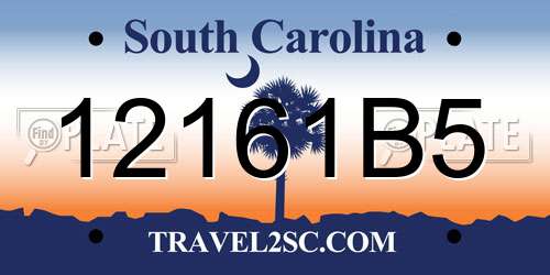 12161B5 South Carolina License Plate