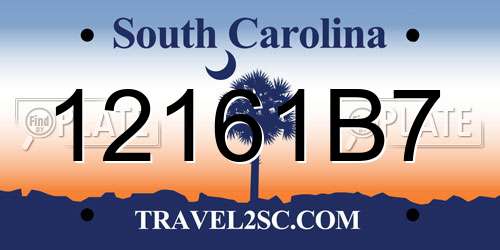 12161B7 South Carolina License Plate