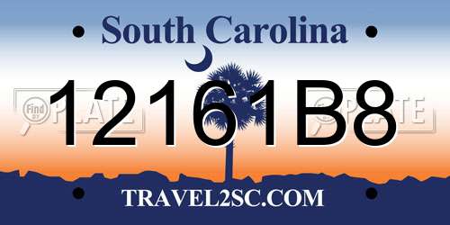 12161B8 South Carolina License Plate