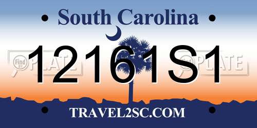 12161S1 South Carolina License Plate