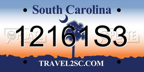12161S3 South Carolina License Plate