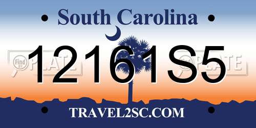 12161S5 South Carolina License Plate