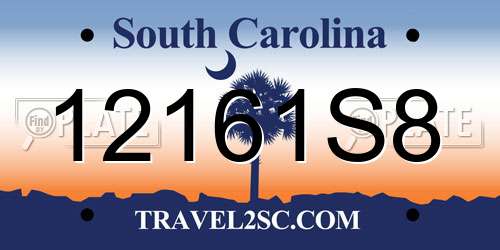 12161S8 South Carolina License Plate