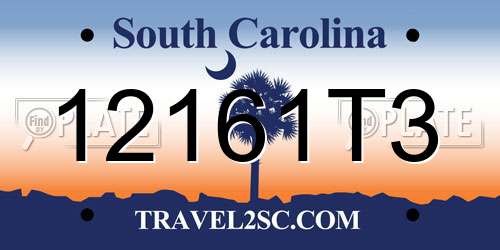 12161T3 South Carolina License Plate