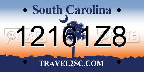 12161Z8 South Carolina License Plate