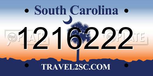 1216222 South Carolina License Plate