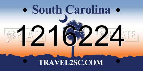 1216224 South Carolina License Plate
