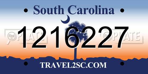 1216227 South Carolina License Plate
