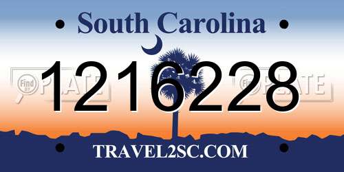 1216228 South Carolina License Plate