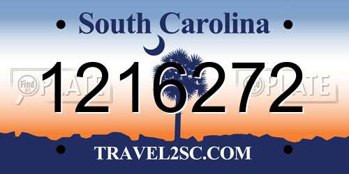 1216272 South Carolina License Plate