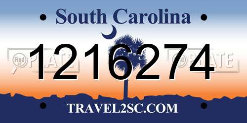 1216274 South Carolina License Plate