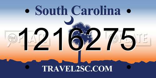 1216275 South Carolina License Plate