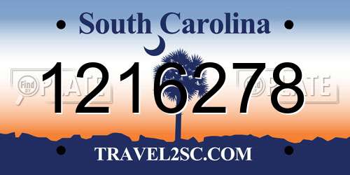 1216278 South Carolina License Plate
