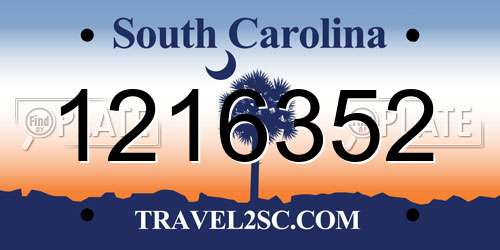 1216352 South Carolina License Plate