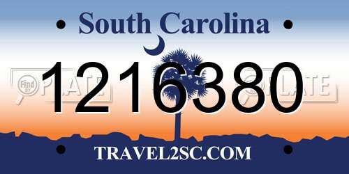 1216380 South Carolina License Plate